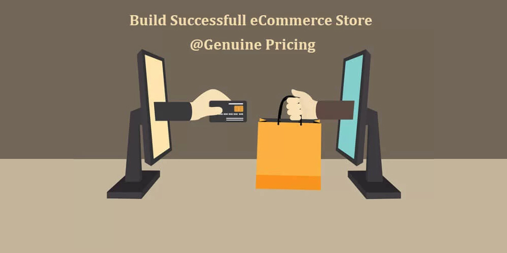 Build-Successful-eCommerce-Store-@Genuine-Pricing