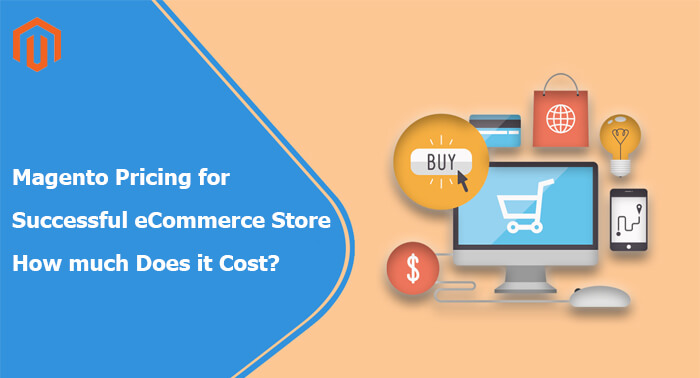 Magento-Pricing-for-Successful-eCommerce-Store.