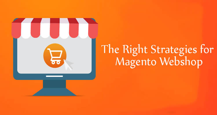 Right Strategies for Magento Webshop