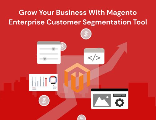 How Magento Enterprise Customer Segmentation Tool Can Be Your Growth Partner?