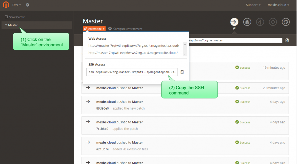 SSH To The Master Environment; Magento Installation