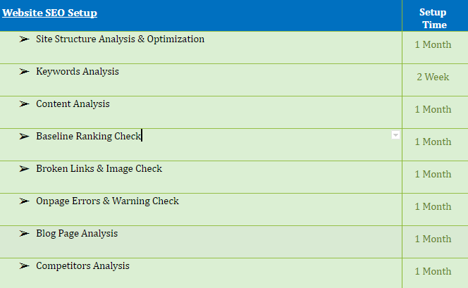 Website Audit and Optimization