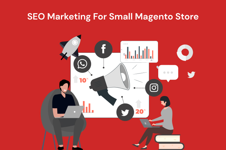 SEO Marketing For Small Magento Store