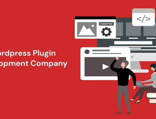 What to Expect From WordPress Plugin Development Company?