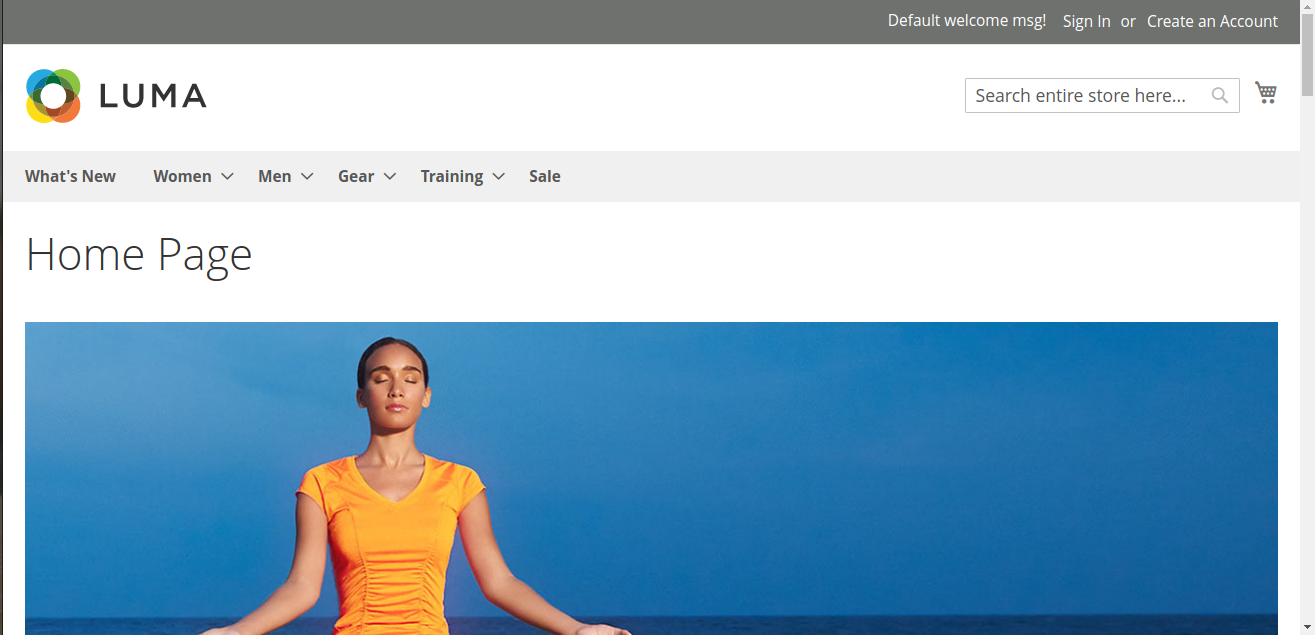 Magento Upgrade Services