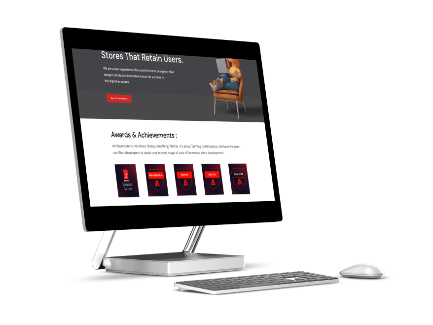 ecommerce mageto store development service