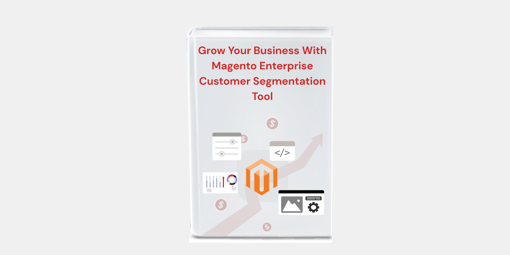 How Magento Enterprise Customer Segmentation Tool Can Be Your Growth Partner?
