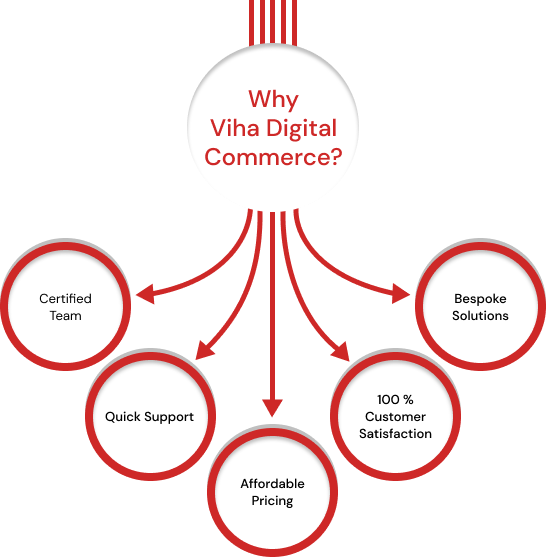 viha-digital-commerce-custom-magento-2-development-service