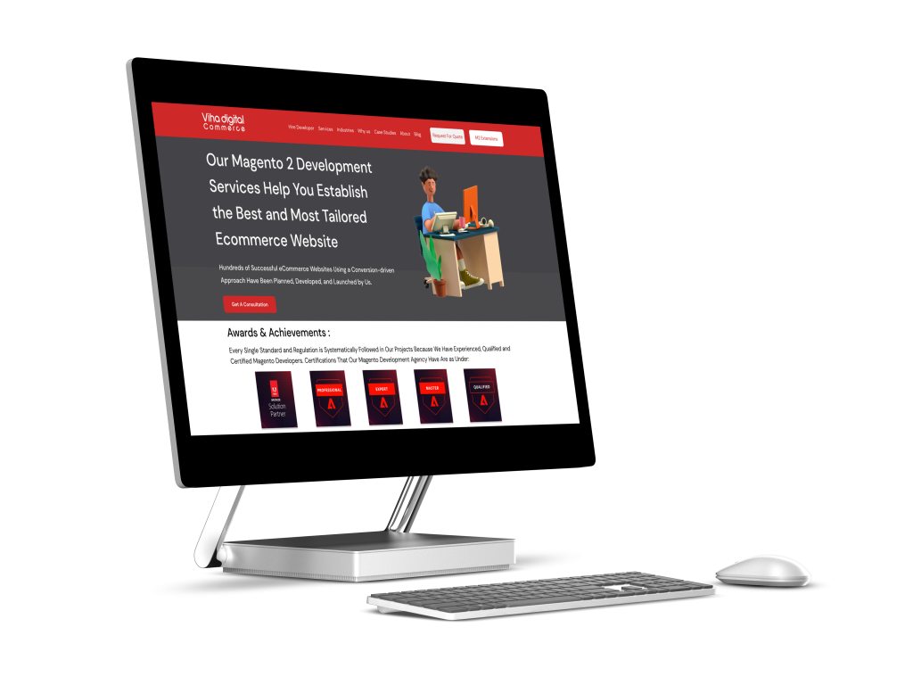 ecommerce mageto store development service