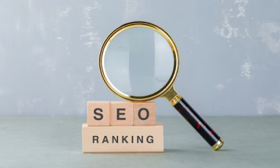 Search Engine Rankings