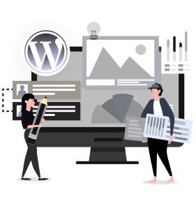 wordpress-customization-service