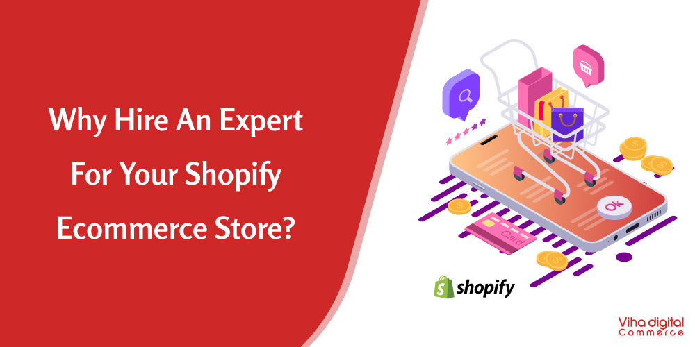 Hire an expert shopify developer