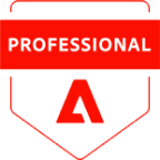 Professional Adobe